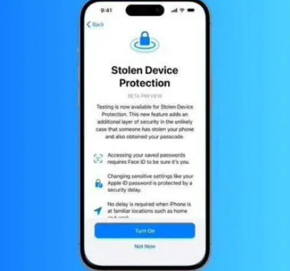 亭湖苹果授权维修店分享被盗设备保护功能开启方法