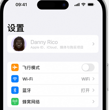 亭湖appleID维修服务iPhone设置中Apple ID显示为灰色无法使用