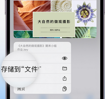 亭湖apple维修中心分享iPhone文件应用中存储和找到下载文件