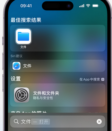 亭湖apple维修中心分享iPhone文件应用中存储和找到下载文件