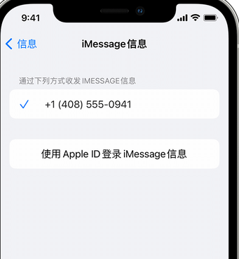 亭湖apple维修iPhone上无法正常发送iMessage信息 