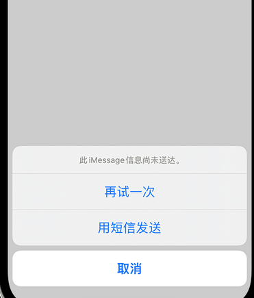 亭湖apple维修iPhone上无法正常发送iMessage信息