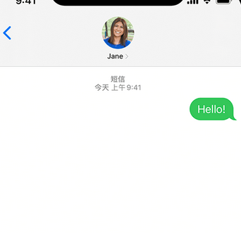 亭湖apple维修iPhone上无法正常发送iMessage信息