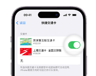 亭湖apple维修点分享iPhone上更换Apple Pay快捷交通卡手绘卡面 