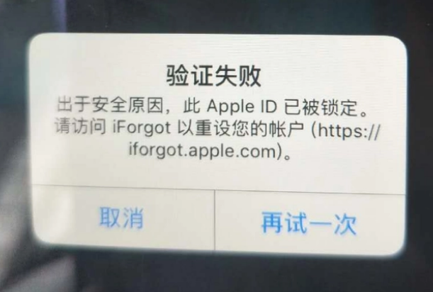 亭湖iPhone维修分享iPhone上正常登录或使用AppleID怎么办 