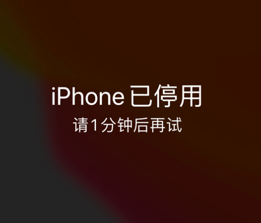 亭湖苹果手机维修分享:iPhone 显示“不可用”或“已停用”怎么办？还能保留数据吗？ 