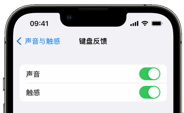 亭湖苹果手机维修分享iPhone 14触感键盘使用方法 