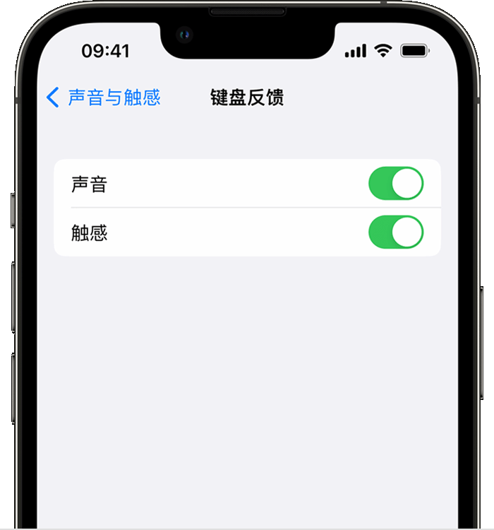 亭湖苹果14维修店分享如何在 iPhone 14 机型中使用触感键盘 