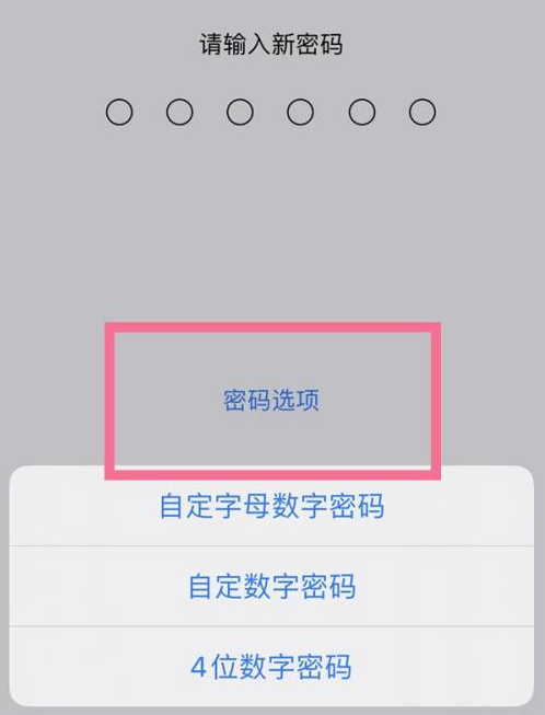 亭湖苹果14维修分享iPhone 14plus设置密码的方法 