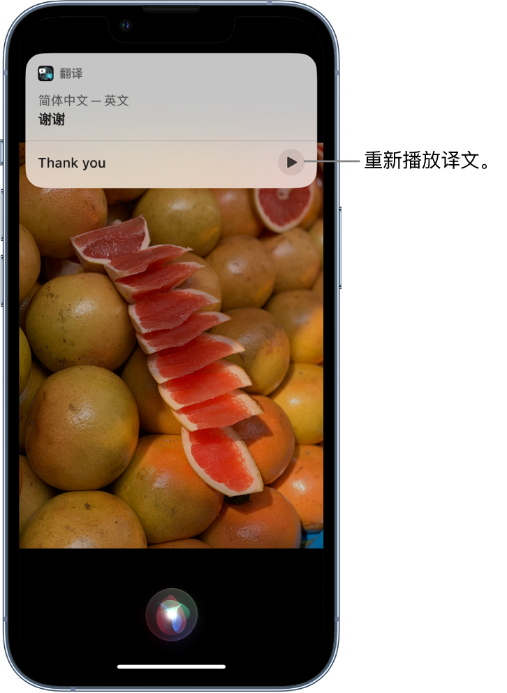 亭湖苹果14维修分享 iPhone 14 机型中使用 Siri：了解 Siri 能帮你做什么 