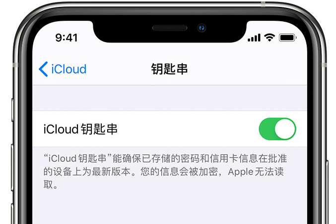 亭湖苹果手机维修分享在 iPhone 上开启 iCloud 钥匙串之后会储存哪些信息 