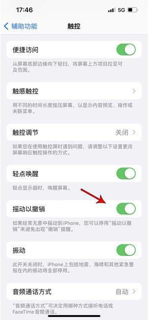 亭湖苹果手机维修分享iPhone手机如何设置摇一摇删除文字 