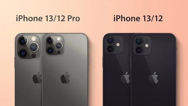 亭湖苹果手机维修分享iPhone 13 摄像头长什么样 