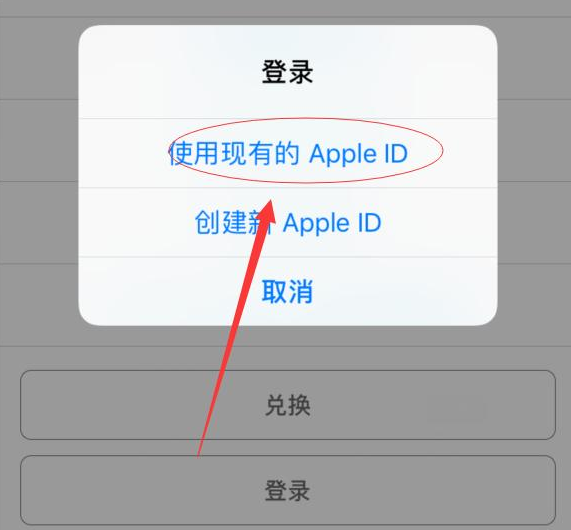 亭湖苹果手机维修分享两台iPhone设备可以同时登录一个Apple ID吗 