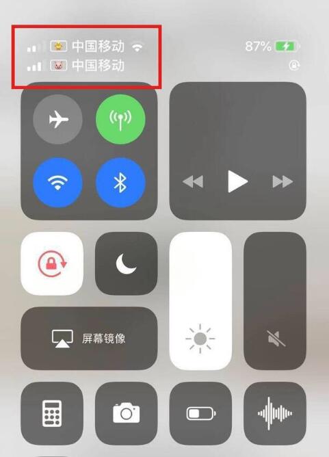 亭湖苹果手机维修分享为 iPhone 12 双卡设置标签 