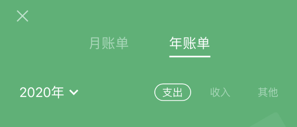 亭湖苹果手机维修分享如何在 iPhone 上查看支付宝和微信年支出账单 